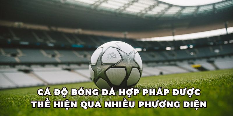 Cá độ bóng đá hợp pháp thể hiện qua nhiều phương diện