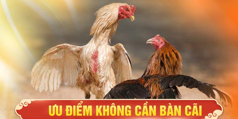 Ưu điểm không cần bàn cãi